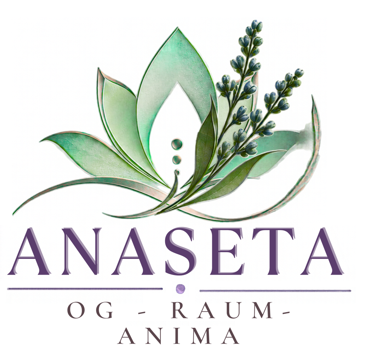 ANASETA ANIMA Beratungsraum in Buchs bei Aarau