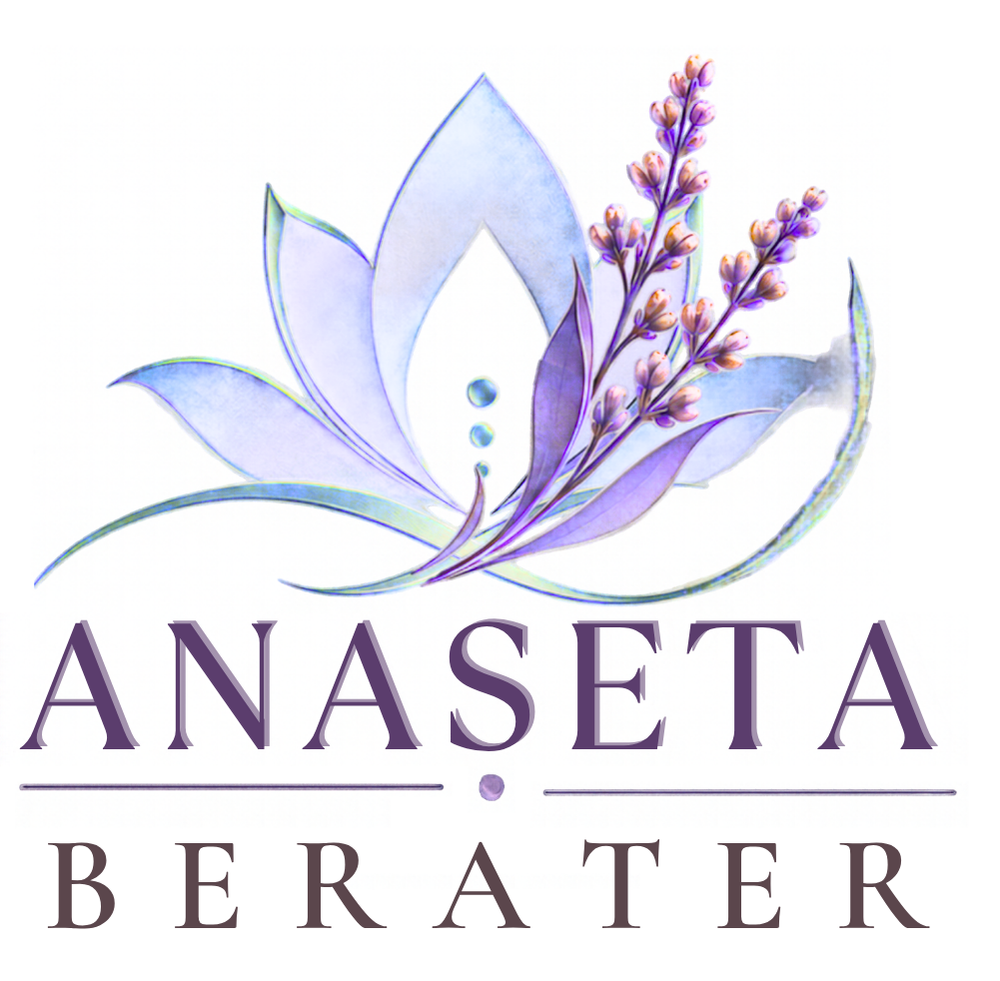 Berater_Coach_Anaseta_anktuelle_Anbieter_Aufstellung_anaseta.ch
