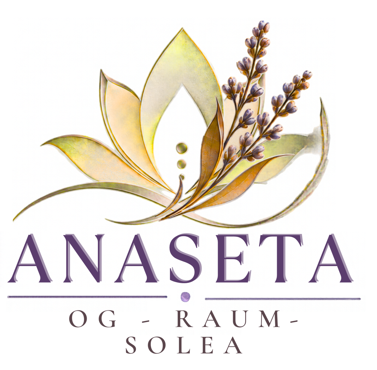 ANASETA SOLEA Beratungsraum in Buchs bei Aarau