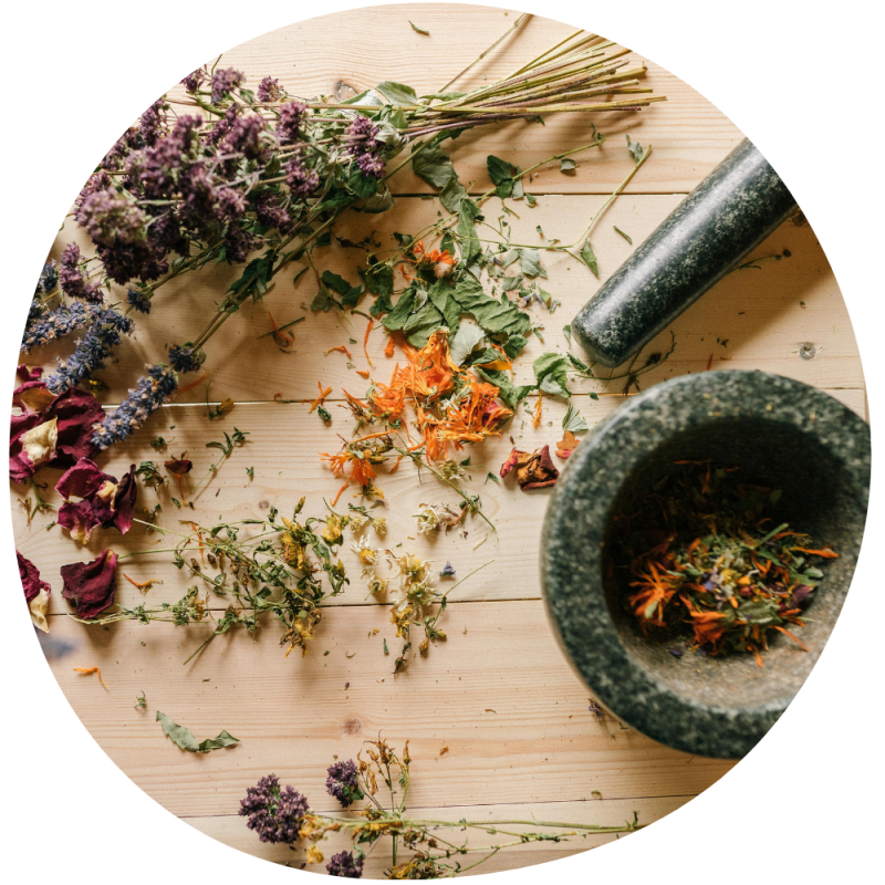 Praktijk Wholistic Kruiden Deurne