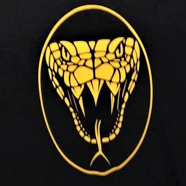 Tanktop, Gr. L, schwarz mit Motiv  Snake, gelb