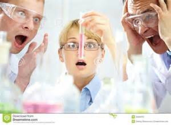 Literary Research - BUNDLE