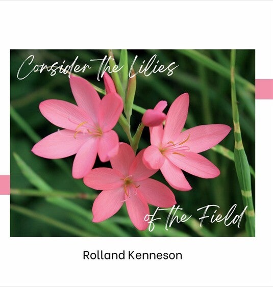 Consider the Lilies of the Field by Rolland Kenneson