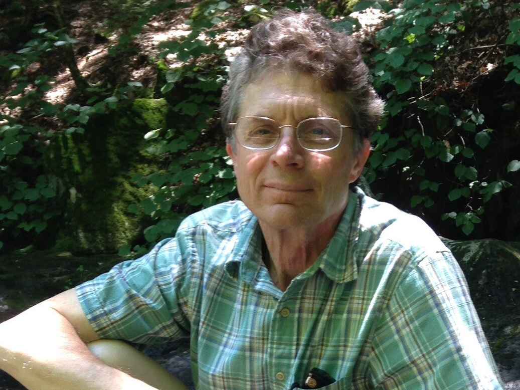 Books Sheltering Tree Earth Media