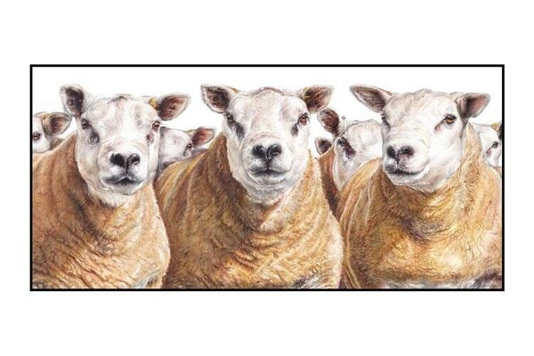 Shear Texellance