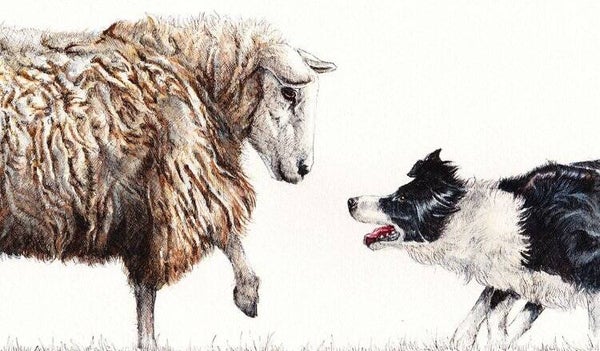 Limited Edition Print - The Stand Off