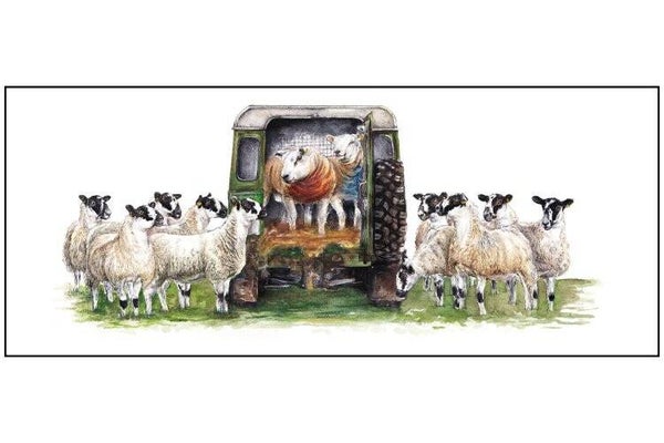 Tup Taxis
