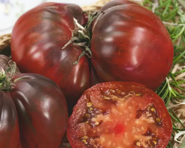 Black Krim Tomato