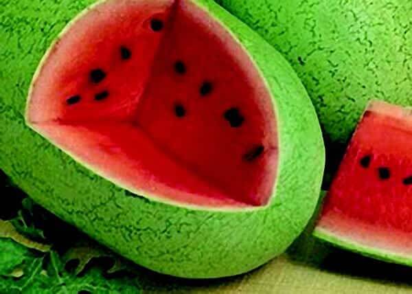 Charleston Grey Watermelon