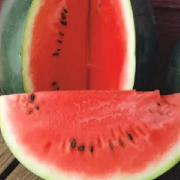 Sugar Baby Icebox Watermelon