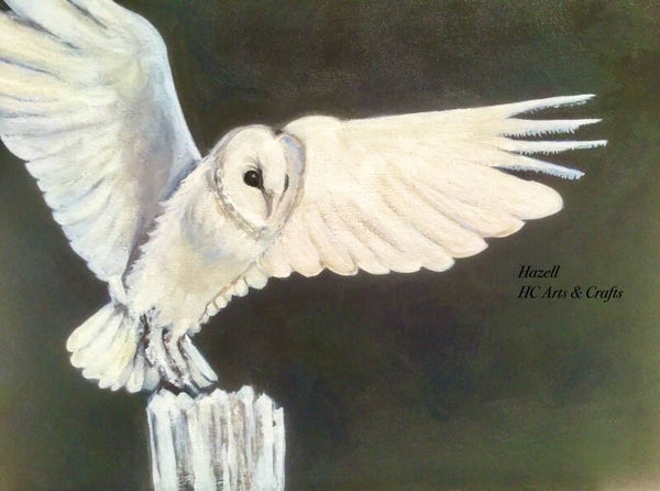 Night Owl - Print