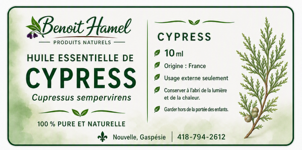 Huile essentielle de cyprès