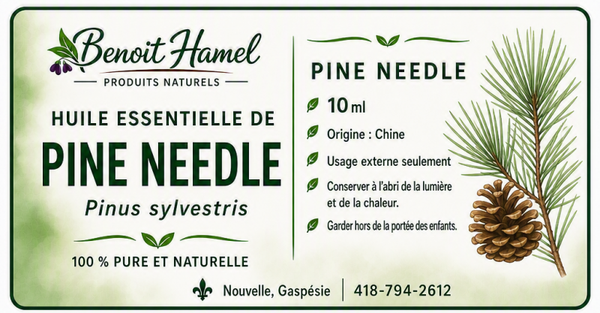 Huile essentielle de pin sylvestre (Pine Needle / Pinus sylvestris)