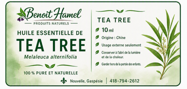 Huile essentielle de tea tree (Melaleuca alternifolia)