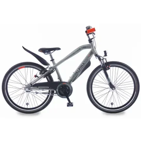 Alpina Trial J24 Desert Grey Matt R3