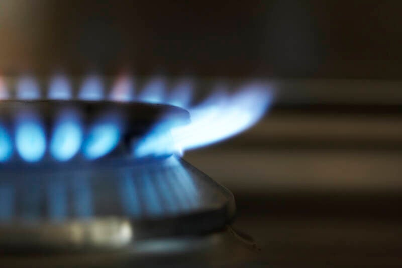 gas-hob-burner-2-standard.jpg