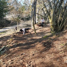 img-20220326-wa0023-standard.jpg