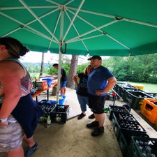 img_20230716_161555-standard.jpg