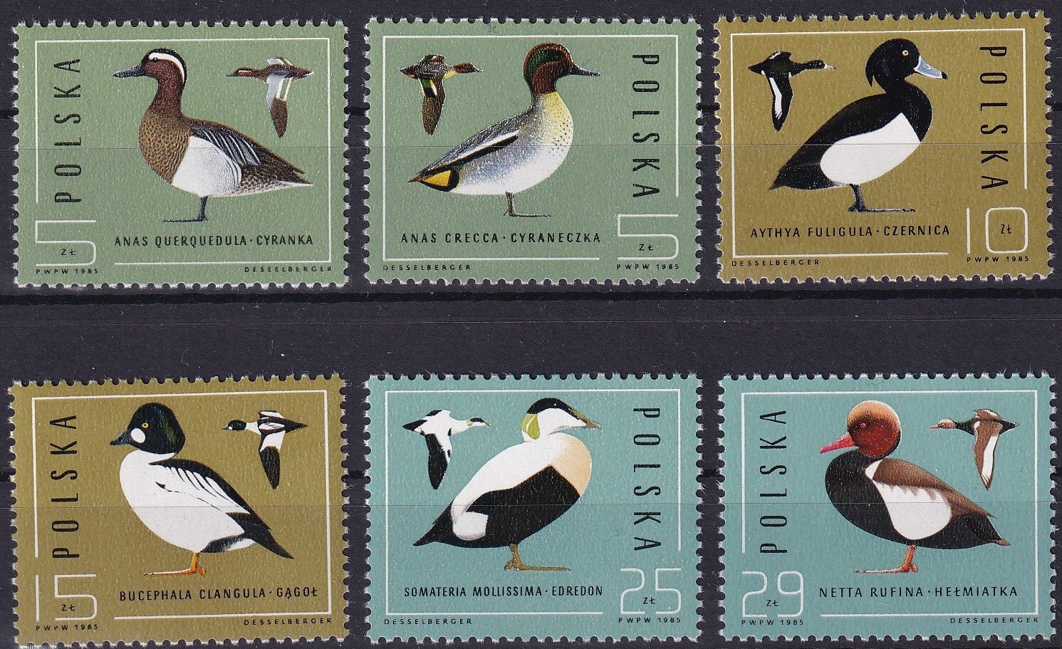 Polen - 1985 - Eenden - Postfris