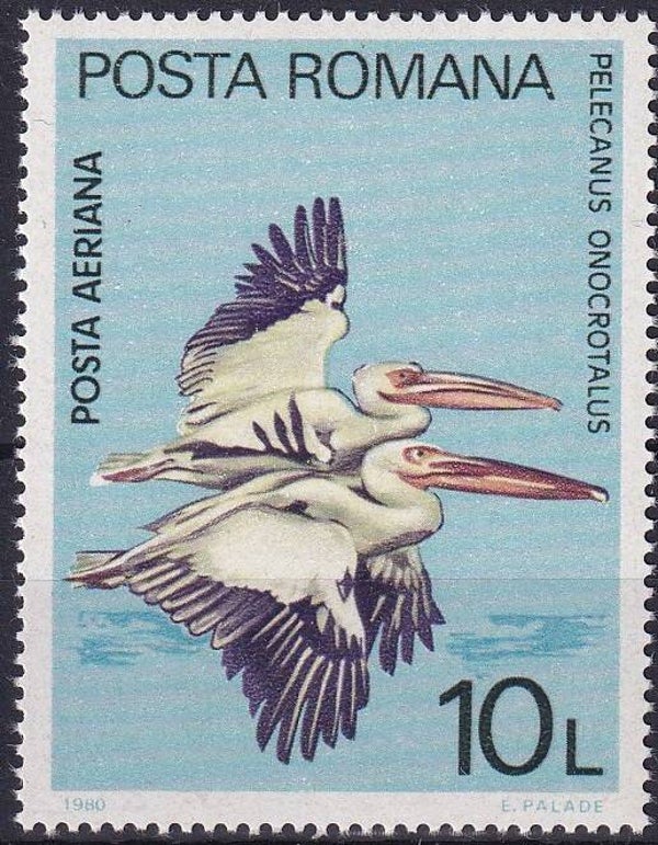 Roemenie - 1980 - Europese meeloper / Vogel - Postfris
