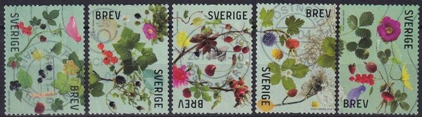 Zweden - 2014 - Bessen - Gestempeld