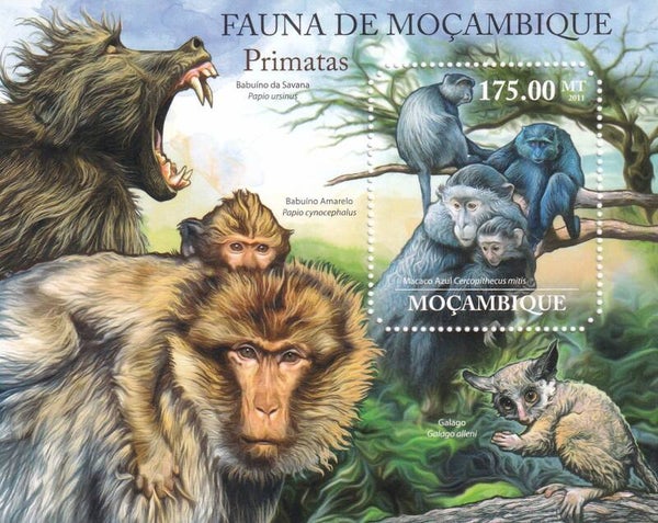Mozambique - 2011 - Apen - Postfris