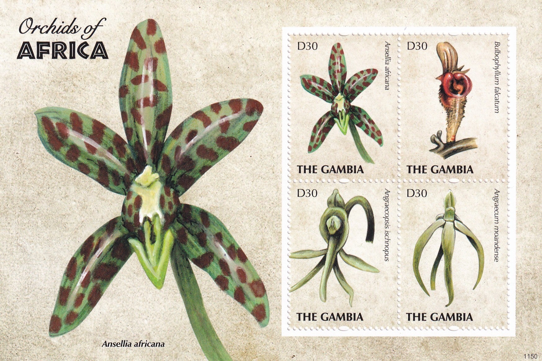 Gambia - 2011 - Orchidee - Postfris ***