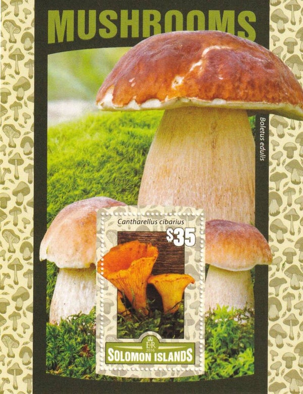 Salomon Islands - 2016 - Paddestoelen - Postfris