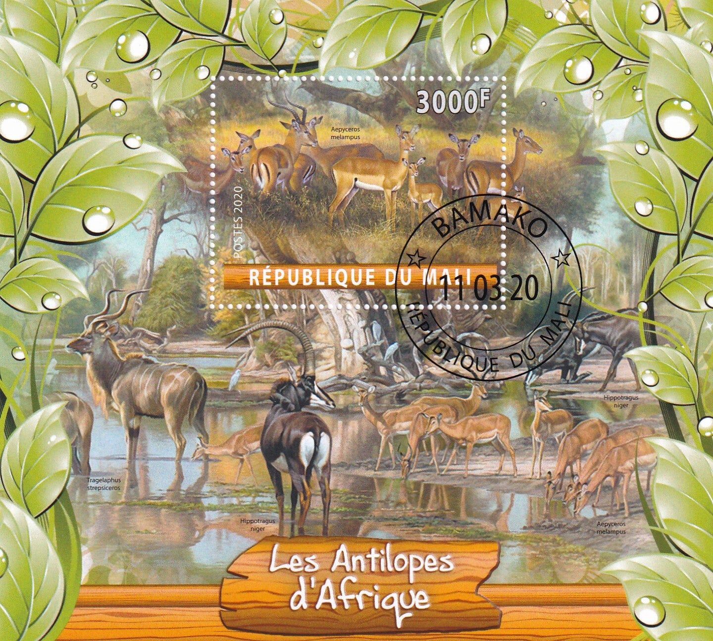 Mali - 2020 - Dieren - Gestempeld