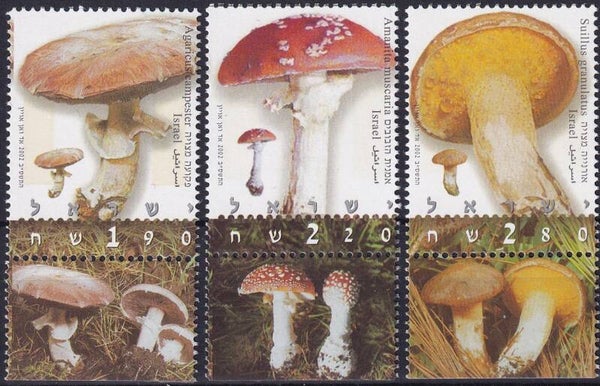 Israel - 2002 - Paddestoelen - Postfris