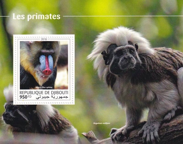 Djibouti - 2018 - Apen - Postfris