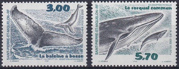 St Pierre et Miquelon - 2000 - Walvissen - Postfris