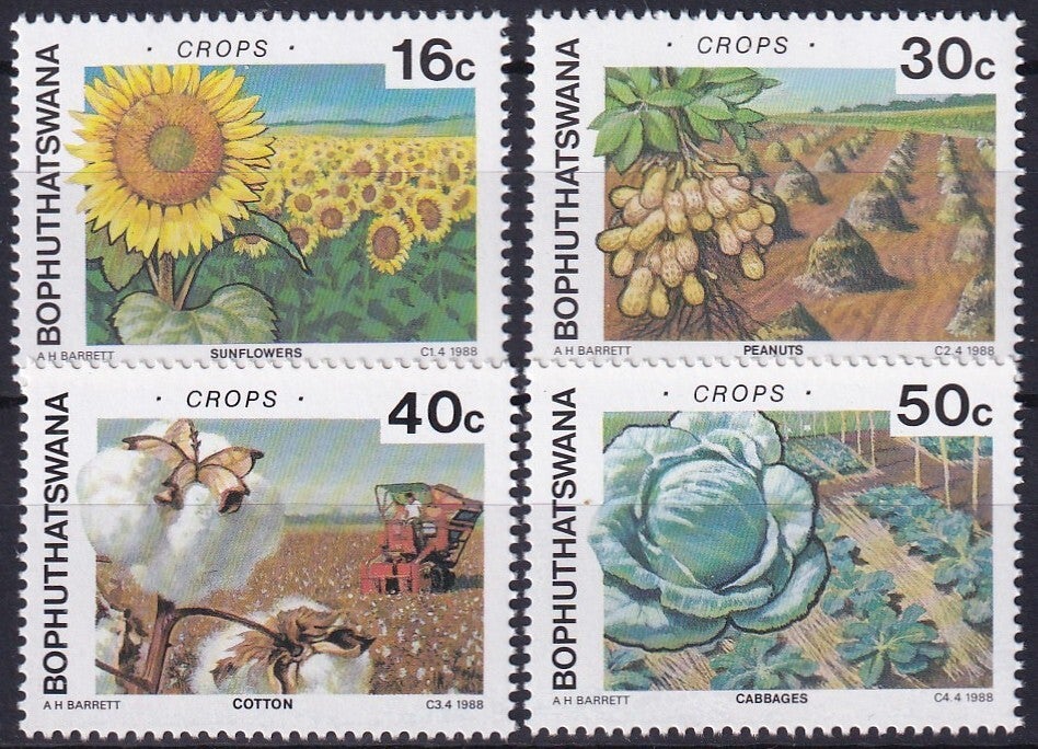 Bophuthatswana - 1988 - Landbouw - Postfris