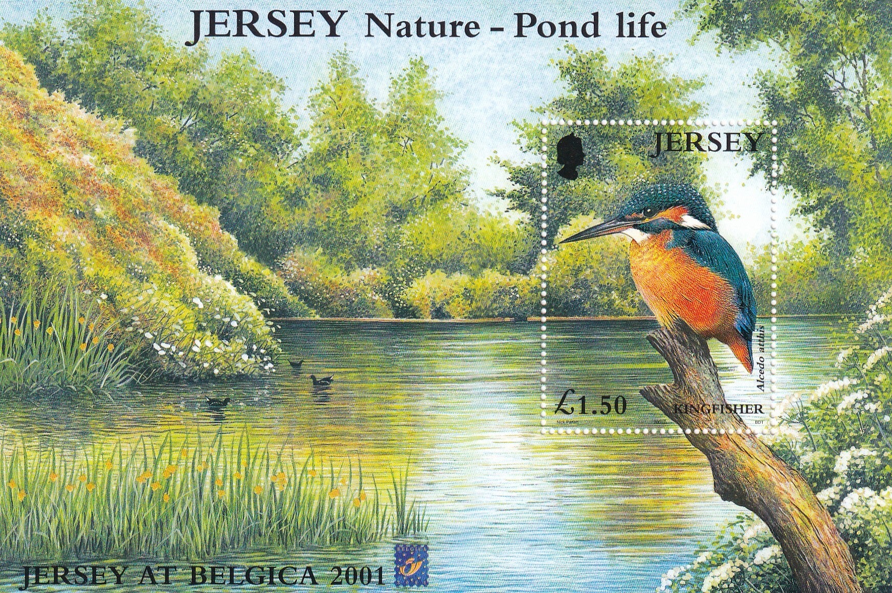 Jersey - 2001 - Ijsvogel - Postfris