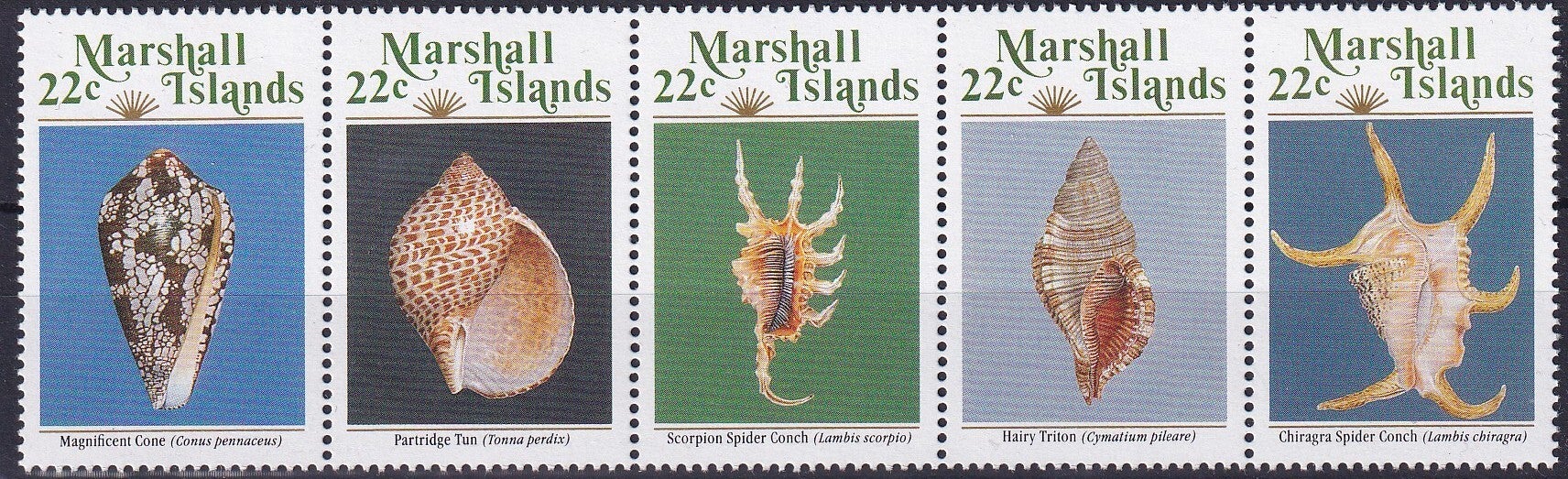 Marshall Islands - 1987 - Schelpen - Postfris