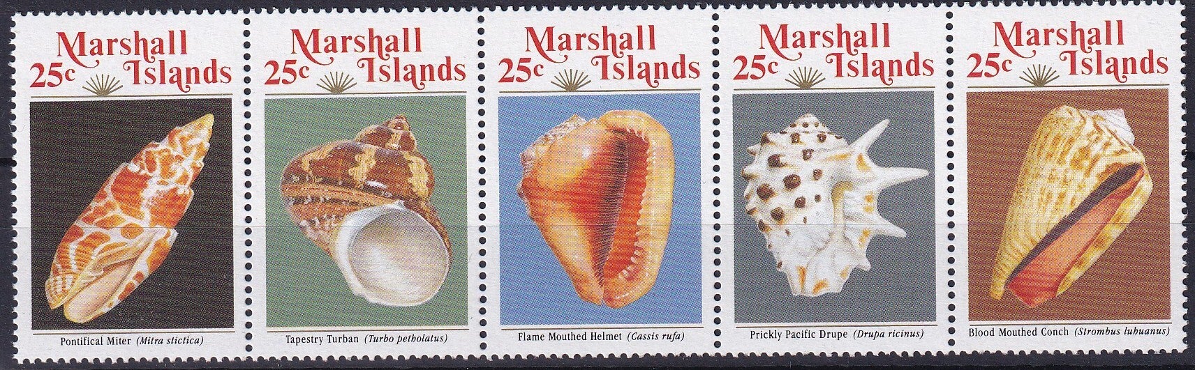 Marshall Islands - 1989 - Schelpen - Postfris