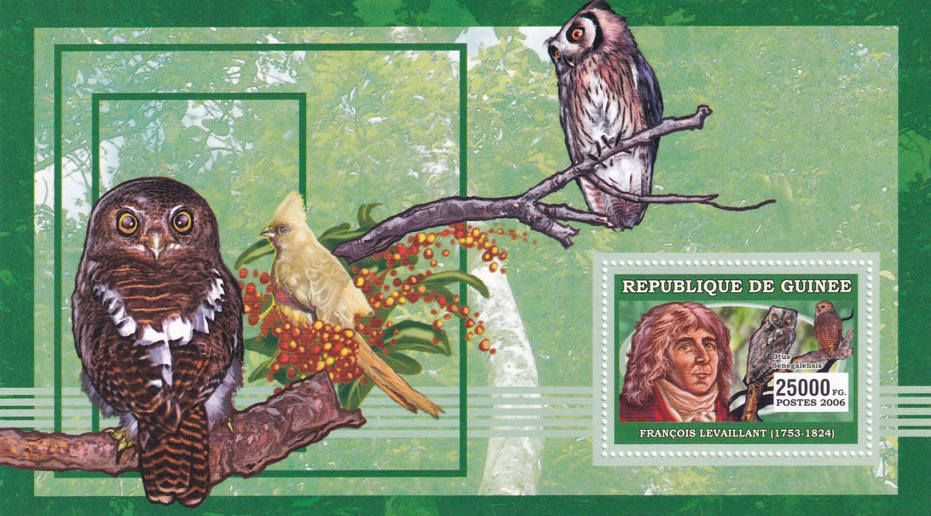 Guinee - 2006 - Vogels - Postfris