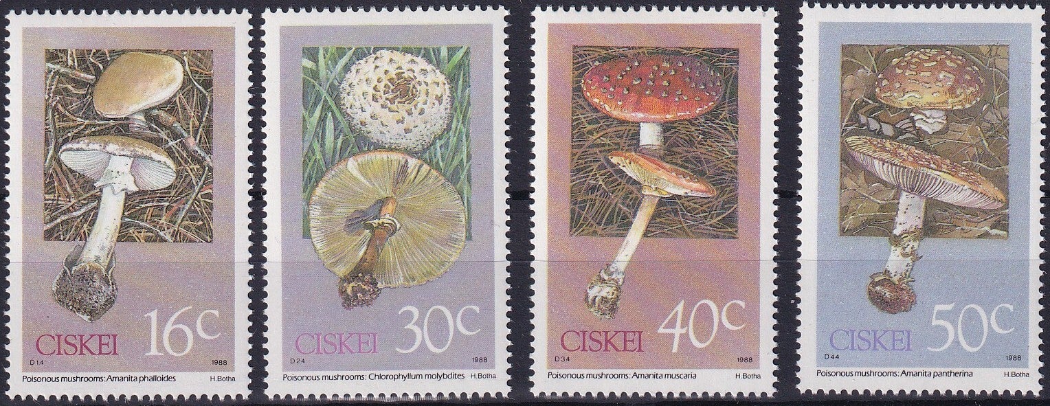 Ciskei - 1988 - Paddestoelen - Postfris