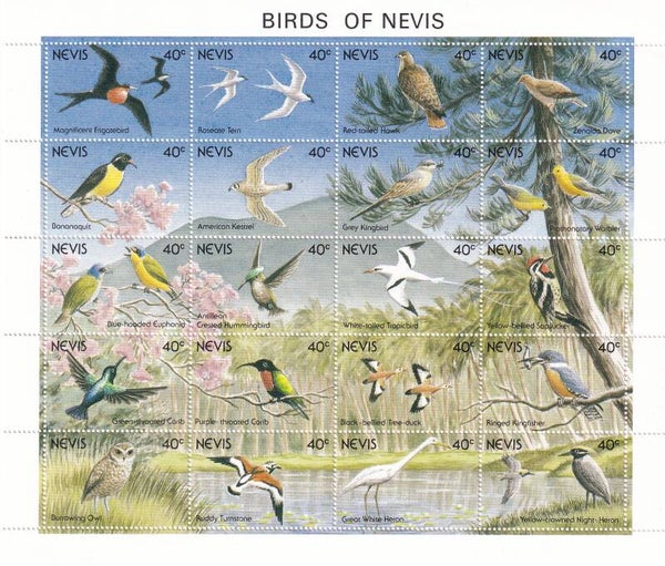 Nevis - 1991 - Vogels - Postfris