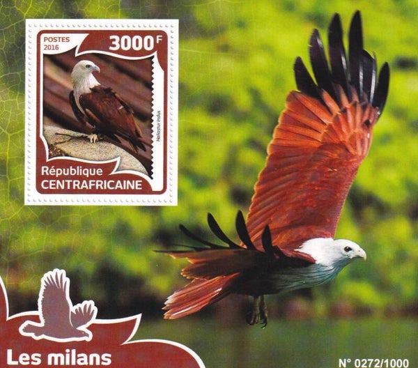 Centraal Afrika - 2016 - Roofvogels - Postfris