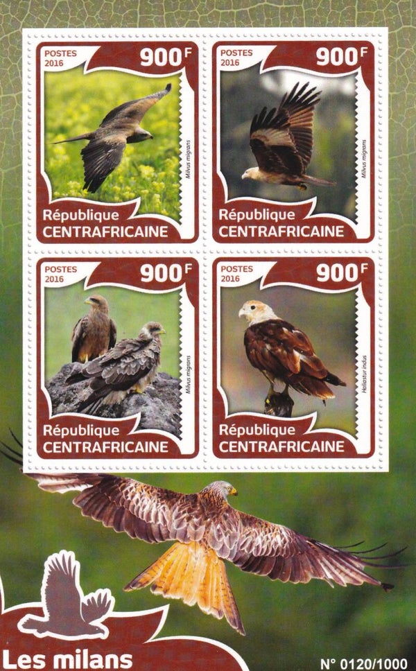 Centraal Afrika - 2016 - Roofvogels - Postfris