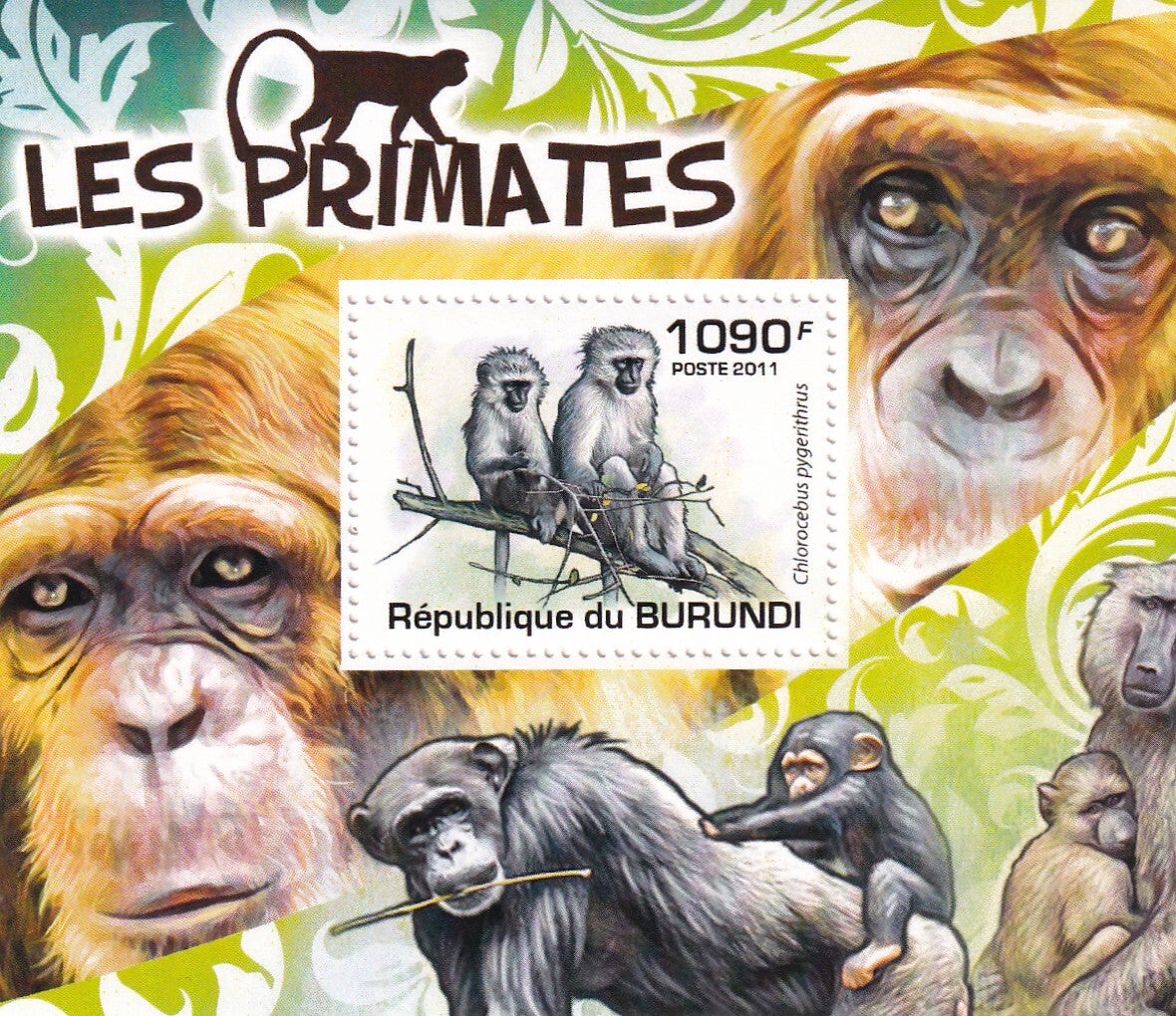 Burundi - 2011 - Apen - Postfris