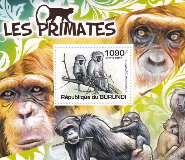 Burundi - 2011 - Apen - Postfris