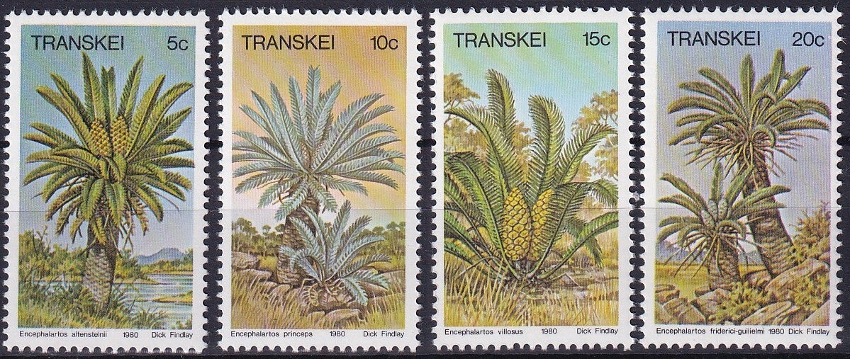 Transkei - 1980 - Bomen - Postfris