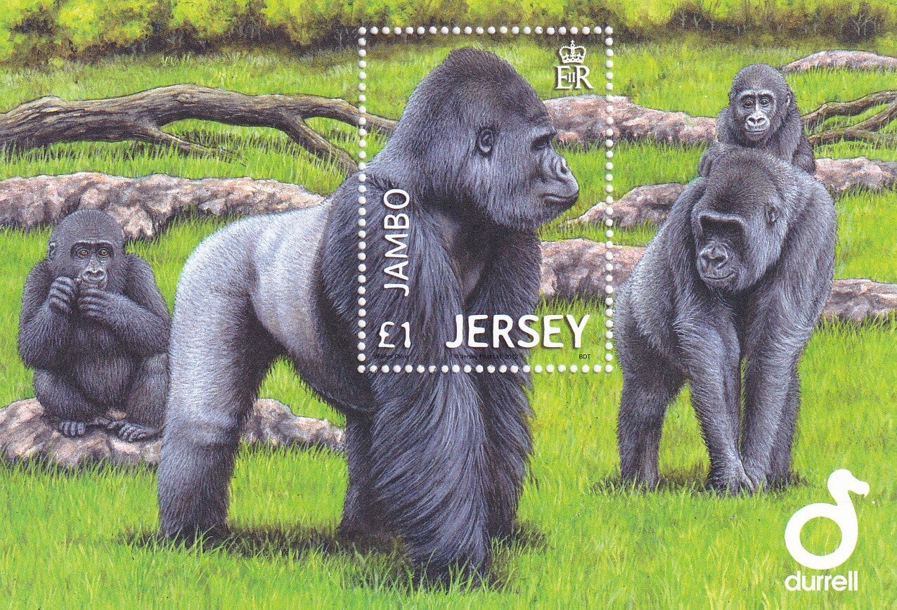 Jersey - 2012 - Jambo - Postfris