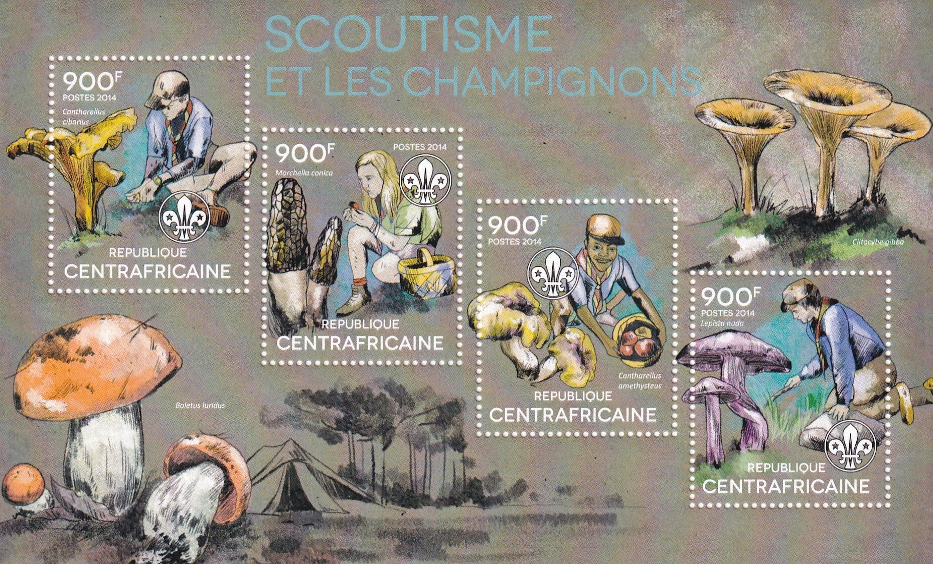 Centraal Afrika - 2014 - Scouting / Paddestoelen - Postfris