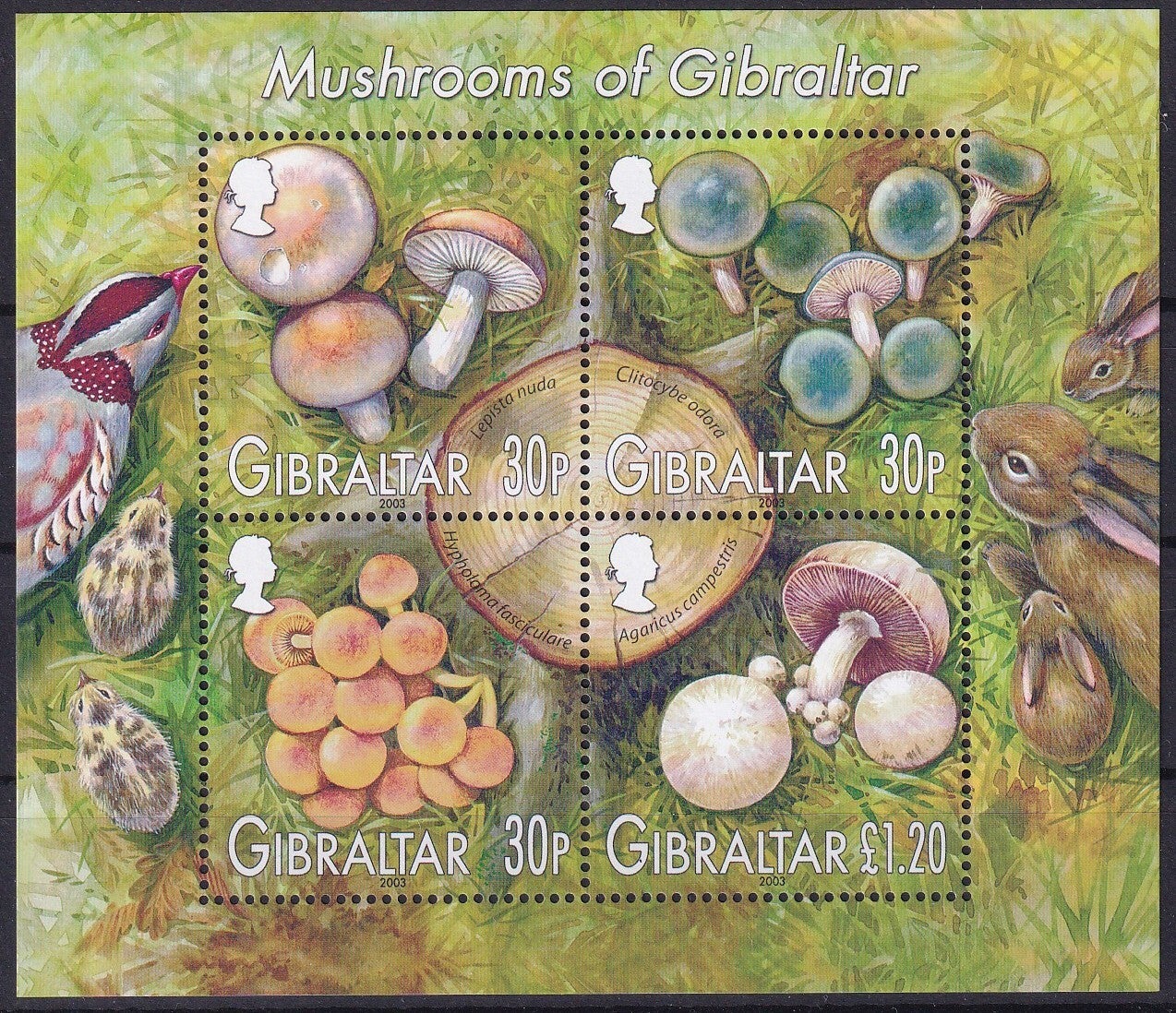 Gibraltar - 2003 - Paddestoelen - Postfris