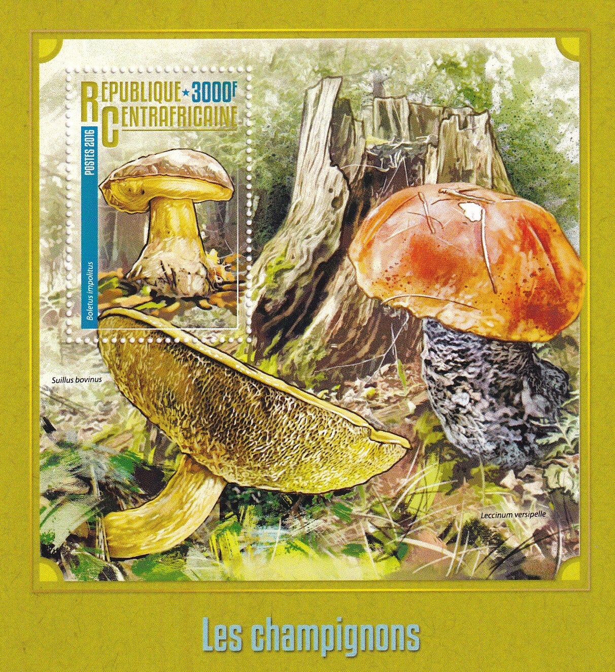 Centraal Afrika - 2016 - Paddestoelen - Postfris