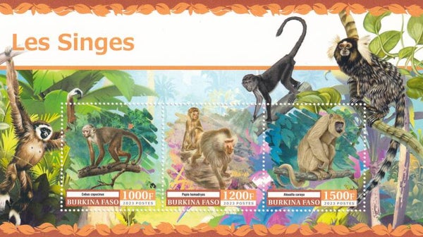 Burkina Faso - 2023 - Apen - Postfris