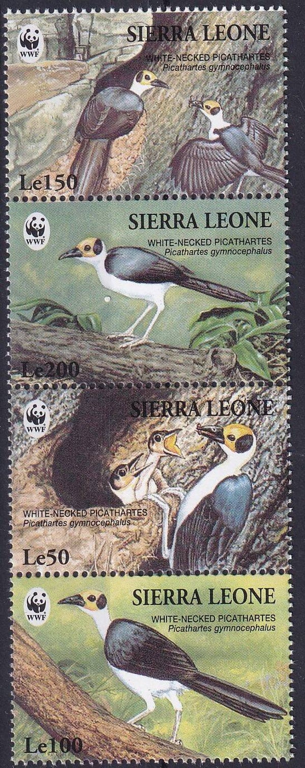Sierra Leone - 1994 - WWF - Postfris